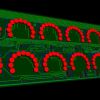 16 LED RINGS oneboard top side