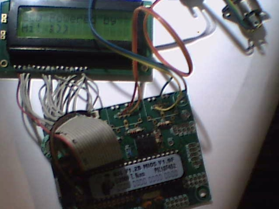 m005.jpg