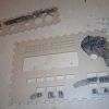 20110118_004.jpg